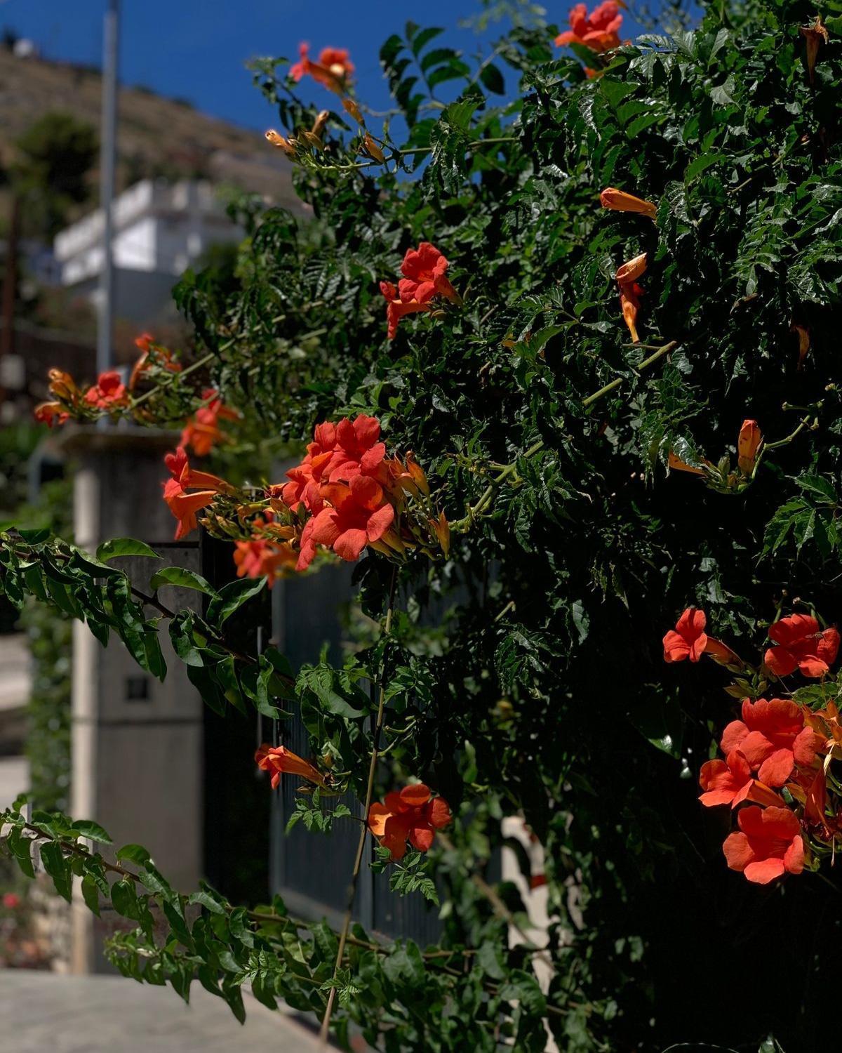 Vila Marjana Sarande Exterior photo