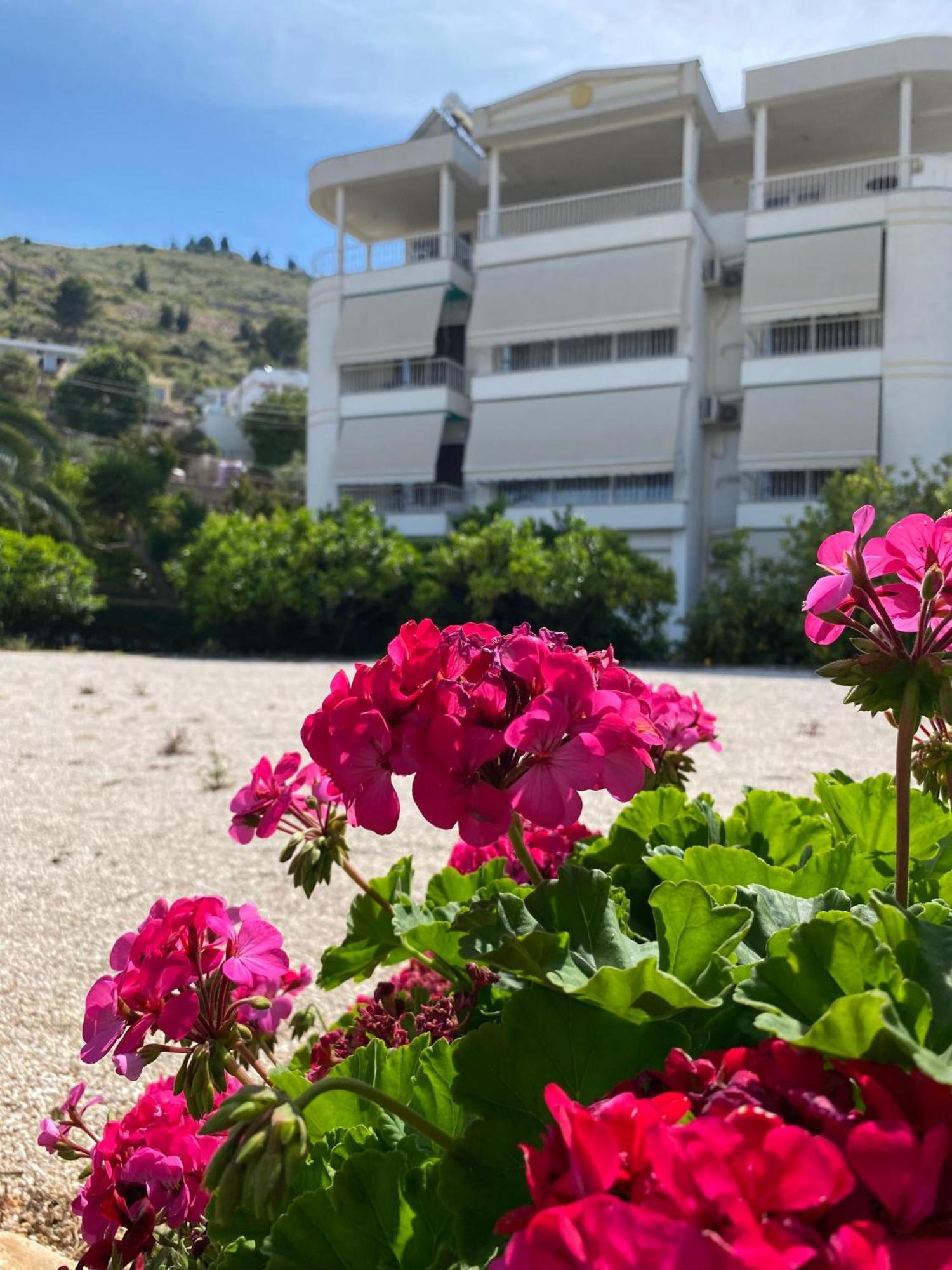 Vila Marjana Sarande Exterior photo